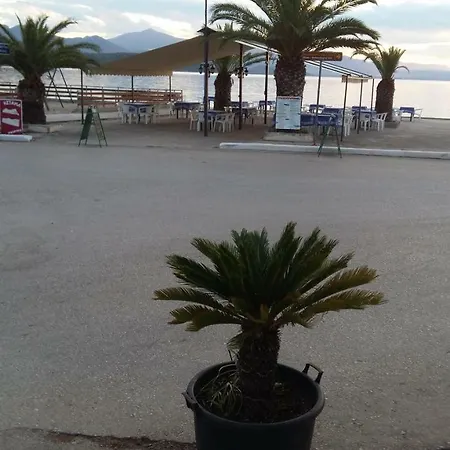 παλιρροια *