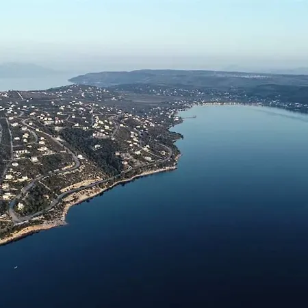 Πανσιόν παλιρροια *